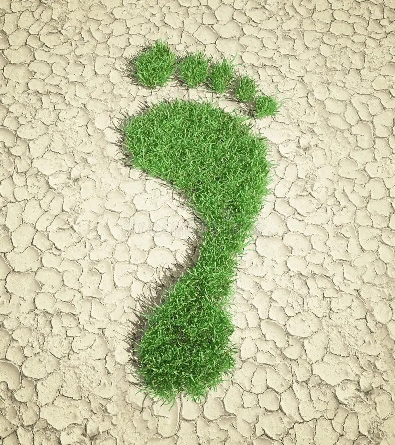 Carbon footprint