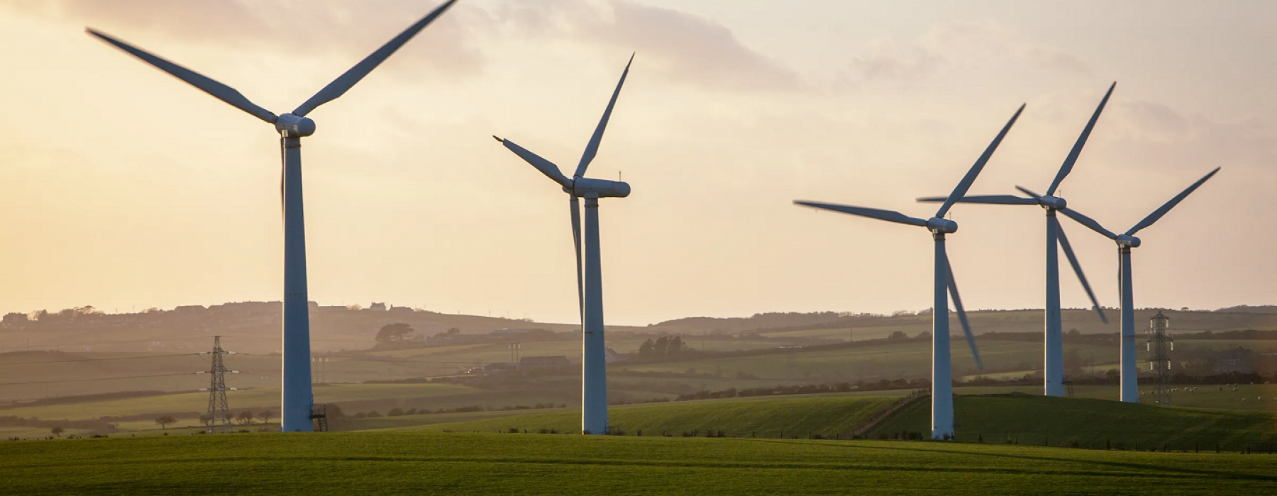 Working Toward a Sustainable Future