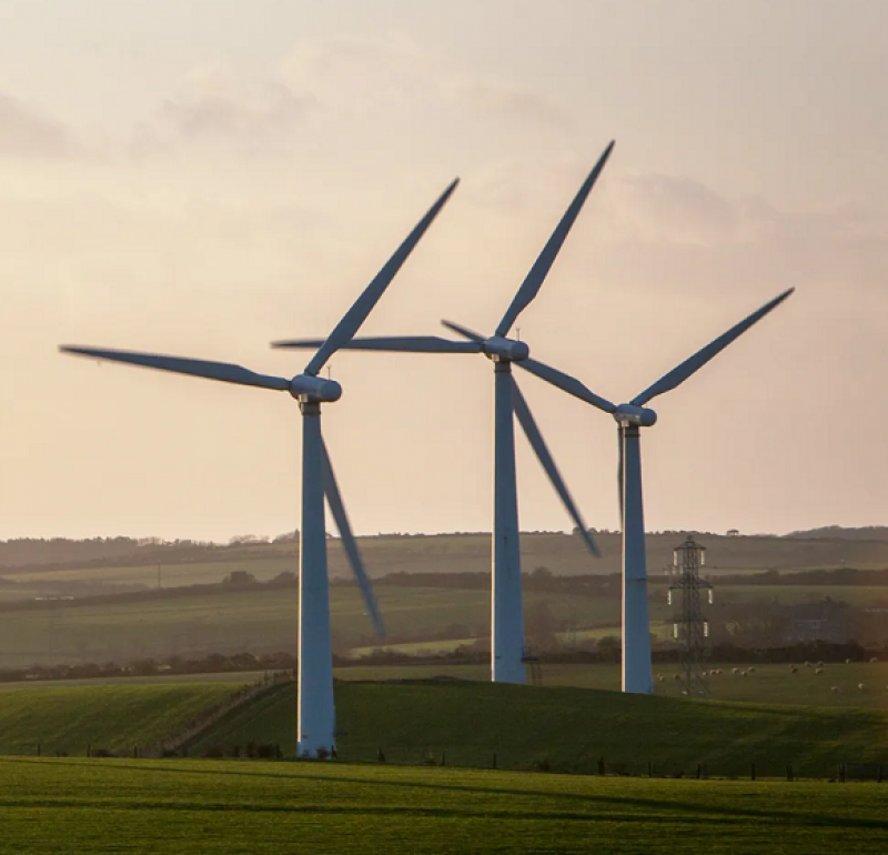 Working Toward a Sustainable Future